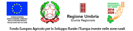 logo PSR