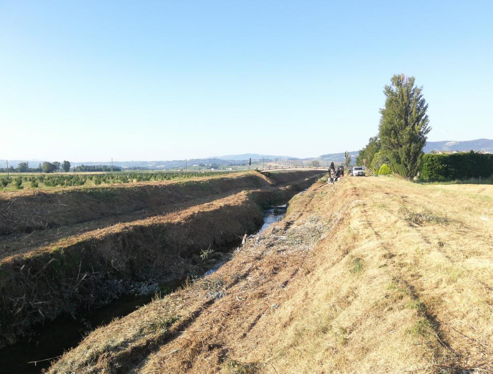  - ripristino funzionalità idraulica torrente Attone a monte e valle passerella Pista Ciclabile Spoleto-Assisi loc. Cantalupo